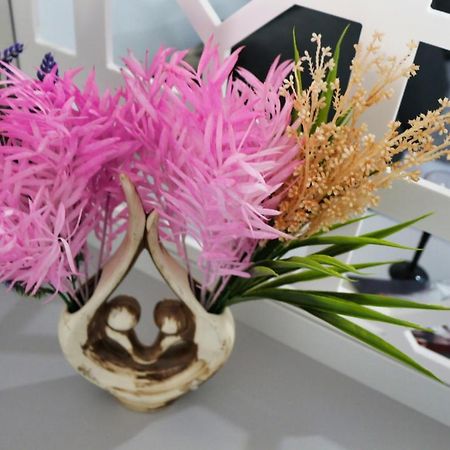 Cozy Flowers Studio - Fast Wi-Fi & Washer-Dryer Brasov Bagian luar foto